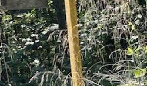 Photo #10 of LONG VIEW DR, LURAY, VA 0.9 acres