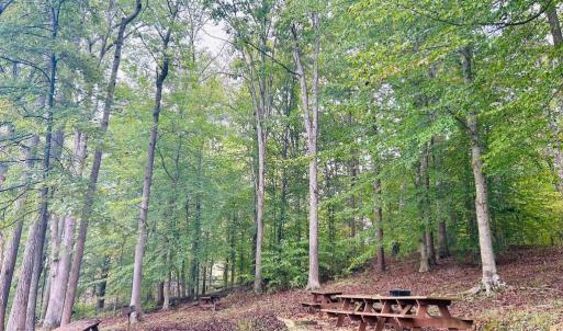 Photo #17 of HENSLEY RD, MINERAL, VA 2.0 acres