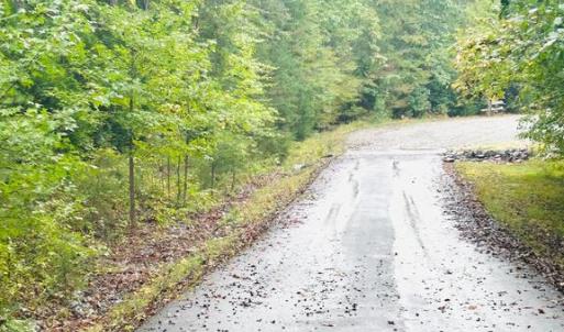 Photo #7 of HENSLEY RD, MINERAL, VA 2.0 acres