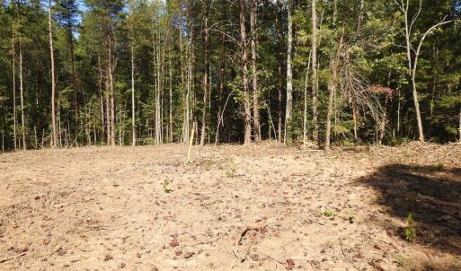 Photo #10 of EQUESTRIAN LANDING TRL, BUMPASS, VA 5.1 acres