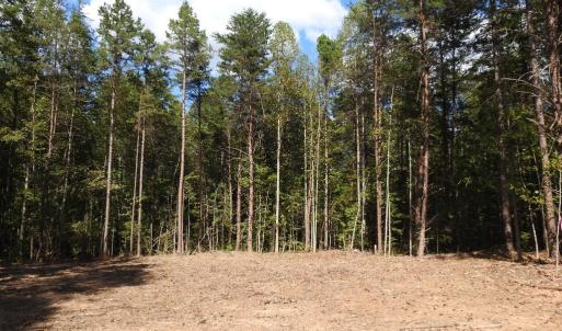 Photo #11 of EQUESTRIAN LANDING TRL, BUMPASS, VA 5.1 acres