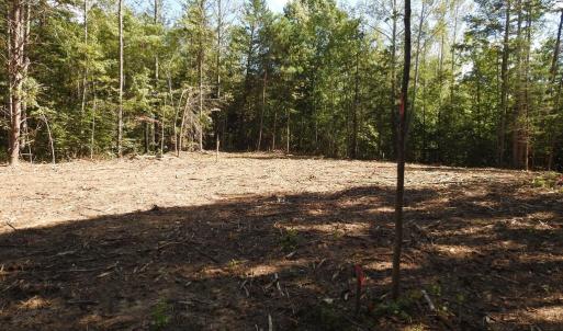 Photo #15 of EQUESTRIAN LANDING TRL, BUMPASS, VA 5.1 acres
