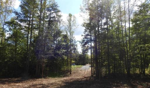 Photo #13 of EQUESTRIAN LANDING TRL, BUMPASS, VA 5.1 acres