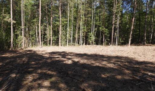 Photo #14 of EQUESTRIAN LANDING TRL, BUMPASS, VA 5.1 acres