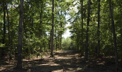 Photo #19 of EQUESTRIAN LANDING TRL, BUMPASS, VA 5.1 acres