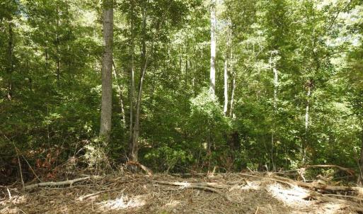 Photo #13 of EQUESTRIAN LANDING TRL, BUMPASS, VA 5.1 acres