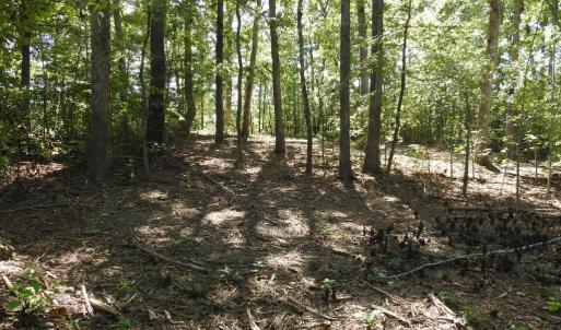 Photo #7 of EQUESTRIAN LANDING TRL, BUMPASS, VA 5.1 acres