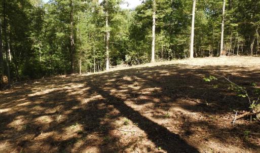 Photo #16 of EQUESTRIAN LANDING TRL, BUMPASS, VA 5.1 acres