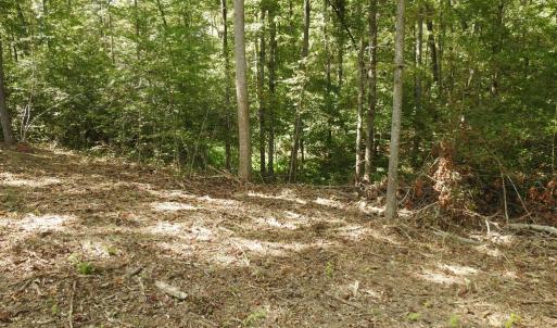 Photo #12 of EQUESTRIAN LANDING TRL, BUMPASS, VA 5.1 acres