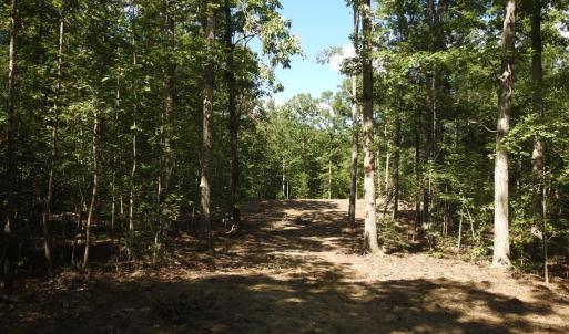 Photo #6 of EQUESTRIAN LANDING TRL, BUMPASS, VA 5.1 acres