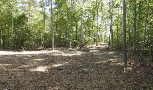 Photo #17 of EQUESTRIAN LANDING TRL, BUMPASS, VA 5.1 acres