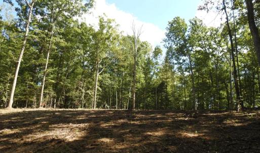 Photo #15 of EQUESTRIAN LANDING TRL, BUMPASS, VA 5.1 acres
