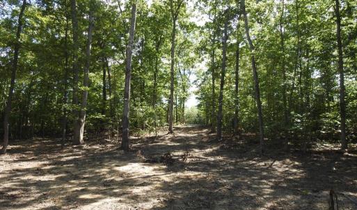 Photo #18 of EQUESTRIAN LANDING TRL, BUMPASS, VA 5.1 acres