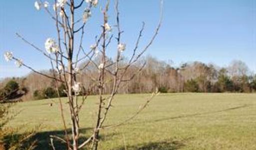 Photo #4 of SUMERDUCK RD AND ROGERS FORD RD INTERSECTION, SUMERDUCK, VA 23.8 acres