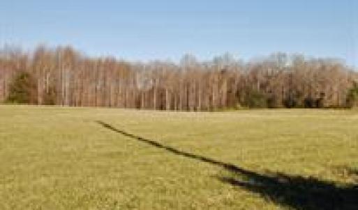 Photo #5 of SUMERDUCK RD AND ROGERS FORD RD INTERSECTION, SUMERDUCK, VA 23.8 acres