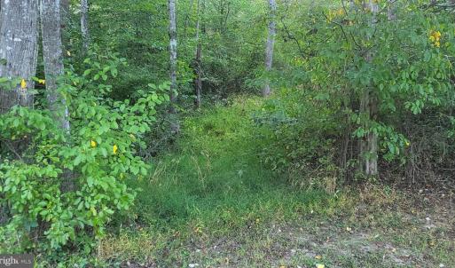 Photo #5 of 835 NORTH LAKE SHORE DR, LOUISA, VA