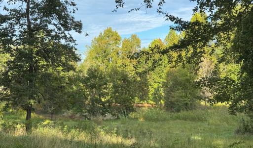 Photo #10 of 164 GARRETTS MILL RD, BUMPASS, VA 19.7 acres