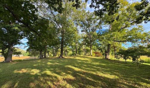 Photo #5 of 164 GARRETTS MILL RD, BUMPASS, VA 19.7 acres