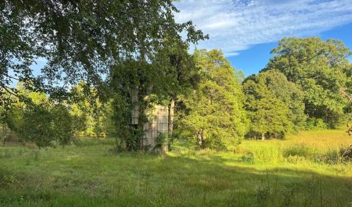 Photo #8 of 164 GARRETTS MILL RD, BUMPASS, VA 19.7 acres