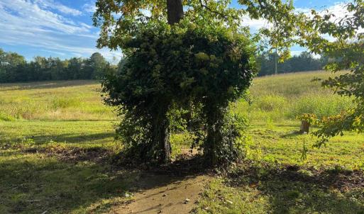Photo #17 of 164 GARRETTS MILL RD, BUMPASS, VA 19.7 acres