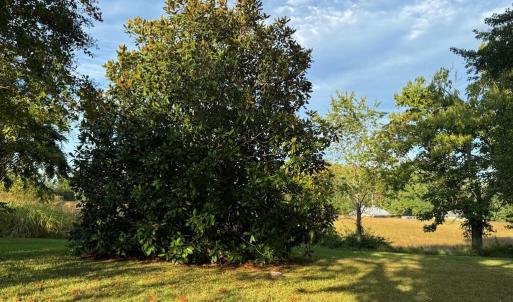 Photo #9 of 164 GARRETTS MILL RD, BUMPASS, VA 19.7 acres