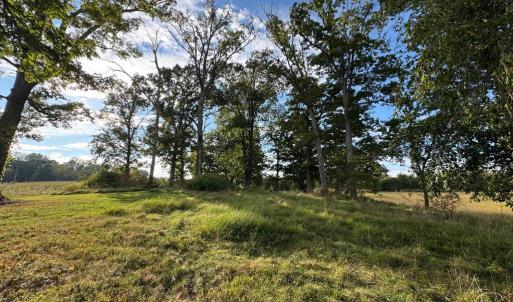 Photo #14 of 164 GARRETTS MILL RD, BUMPASS, VA 19.7 acres