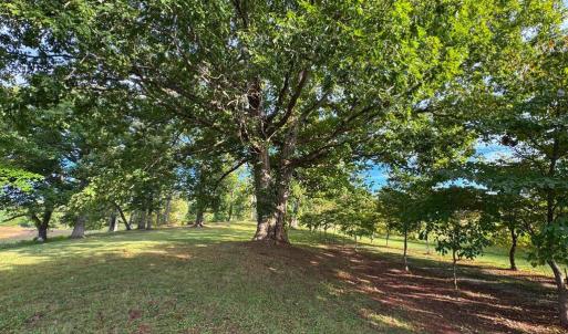 Photo #3 of 164 GARRETTS MILL RD, BUMPASS, VA 19.7 acres