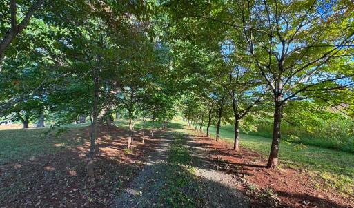 Photo #1 of 164 GARRETTS MILL RD, BUMPASS, VA 19.7 acres