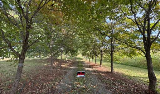 Photo #20 of 164 GARRETTS MILL RD, BUMPASS, VA 18.3 acres