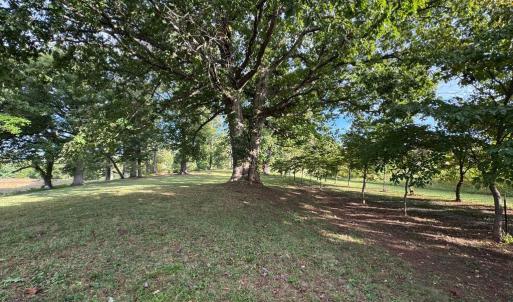 Photo #4 of 164 GARRETTS MILL RD, BUMPASS, VA 18.3 acres