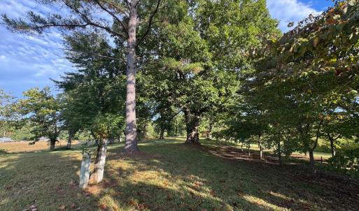 Photo #19 of 164 GARRETTS MILL RD, BUMPASS, VA 18.3 acres