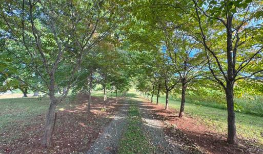 Photo #21 of 164 GARRETTS MILL RD, BUMPASS, VA 18.3 acres