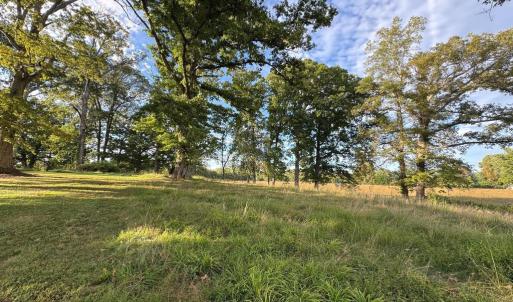 Photo #11 of 164 GARRETTS MILL RD, BUMPASS, VA 18.3 acres