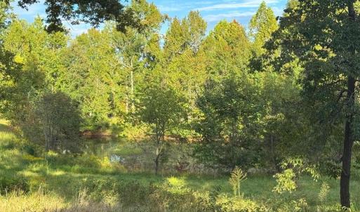 Photo #13 of 164 GARRETTS MILL RD, BUMPASS, VA 18.3 acres