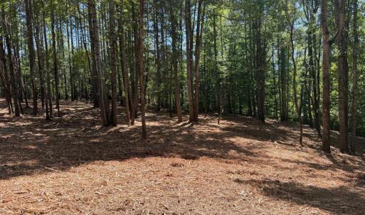 Photo #42 of  6.2 acres