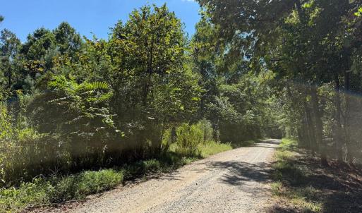 Photo #9 of  6.2 acres