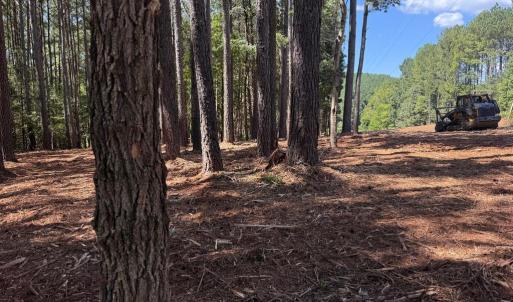 Photo #11 of  6.2 acres