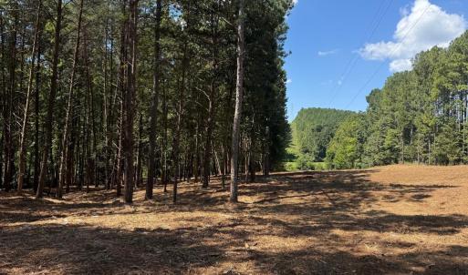 Photo #14 of  6.2 acres