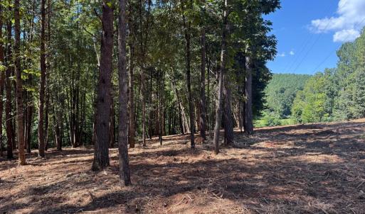 Photo #15 of  6.2 acres