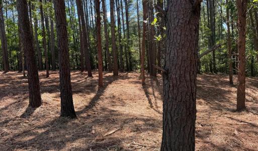 Photo #13 of  6.2 acres