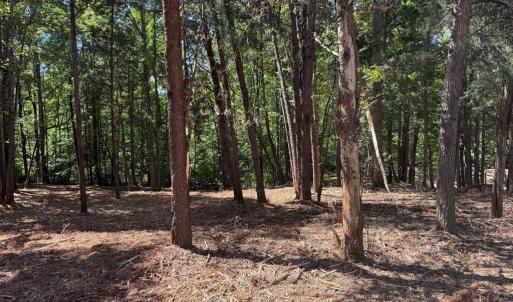 Photo #16 of  6.2 acres