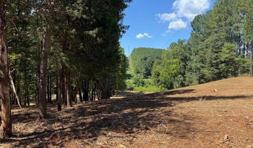 Photo #17 of  6.2 acres