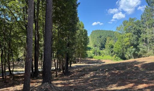 Photo #18 of  6.2 acres