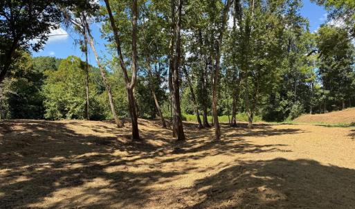 Photo #21 of  6.2 acres