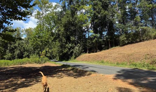 Photo #29 of  6.2 acres