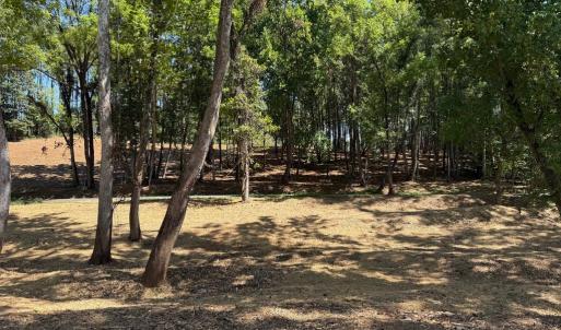 Photo #36 of  6.2 acres