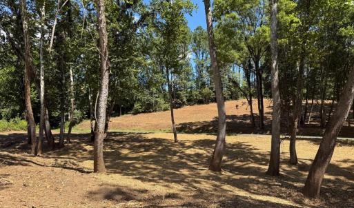 Photo #37 of  6.2 acres