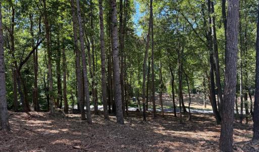 Photo #38 of  6.2 acres