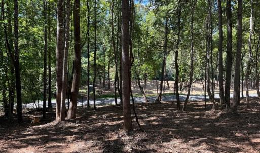 Photo #43 of  6.2 acres