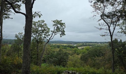 Photo #1 of SUNSET WOODS TRAIL, RIXEYVILLE, VA 10.9 acres